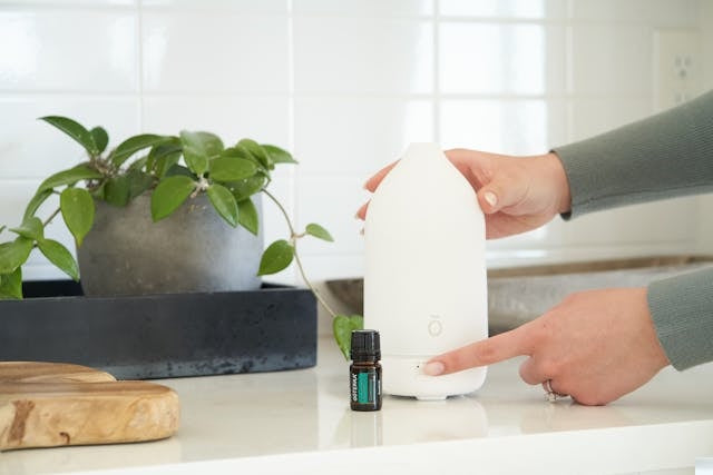 Hands setting up an ultrasonic diffuser beside a houseplant