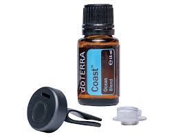 dōTERRA Coast™ & Metallic Car Clip Diffuser