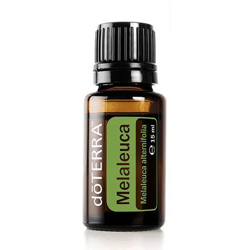 dōTERRA Tea Tree (Melaleuca) Essential Oil - 15ml Sale Price