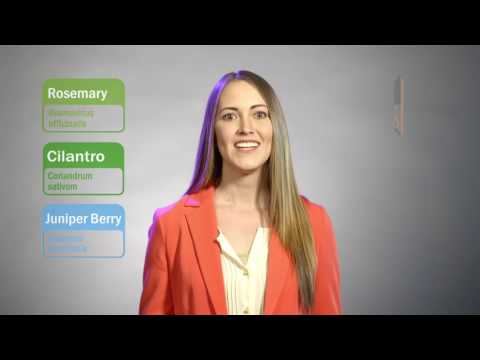 dōTERRA Zendocrine® Essential Oil Blend - 15ml